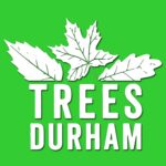 2021_Square-TreesDurham-min